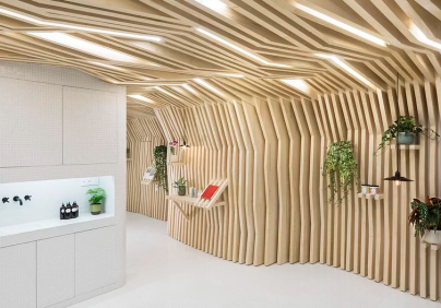 Joshua Florquin Gives A Relaxing Forest Vibe To This Beauty Salon